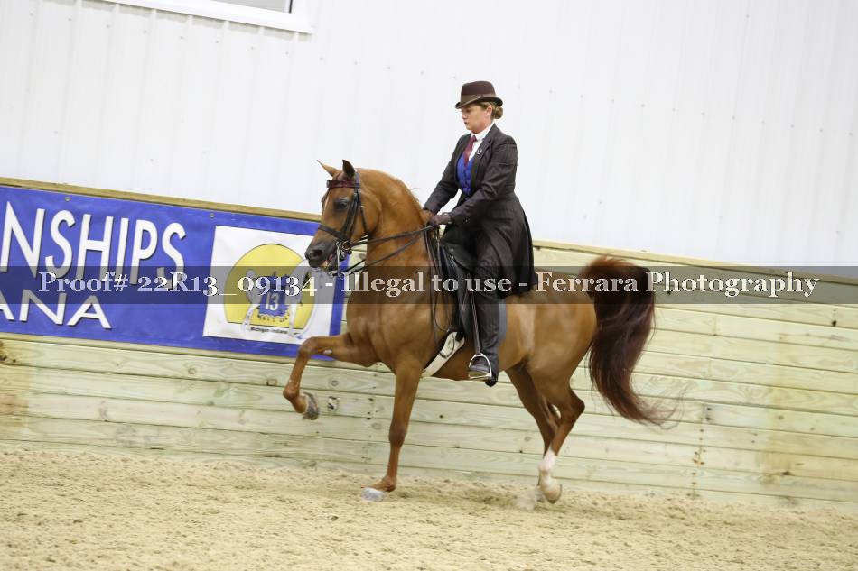 Proof 22R13_09134