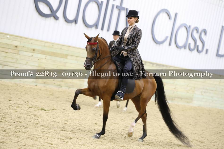 Proof 22R13_09136