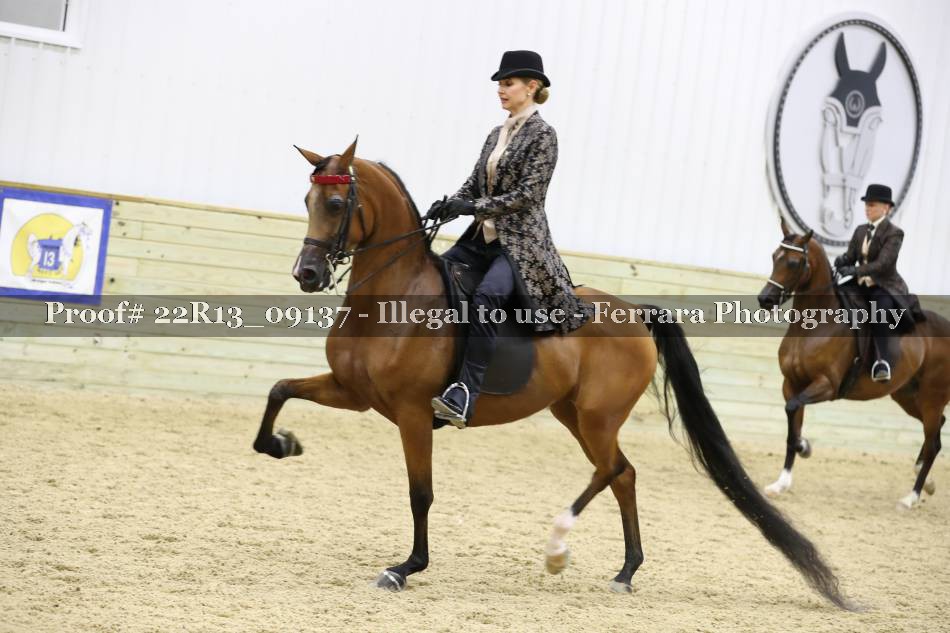 Proof 22R13_09137