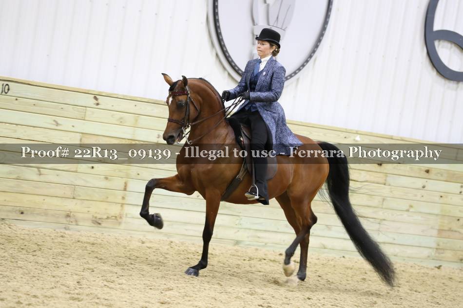 Proof 22R13_09139