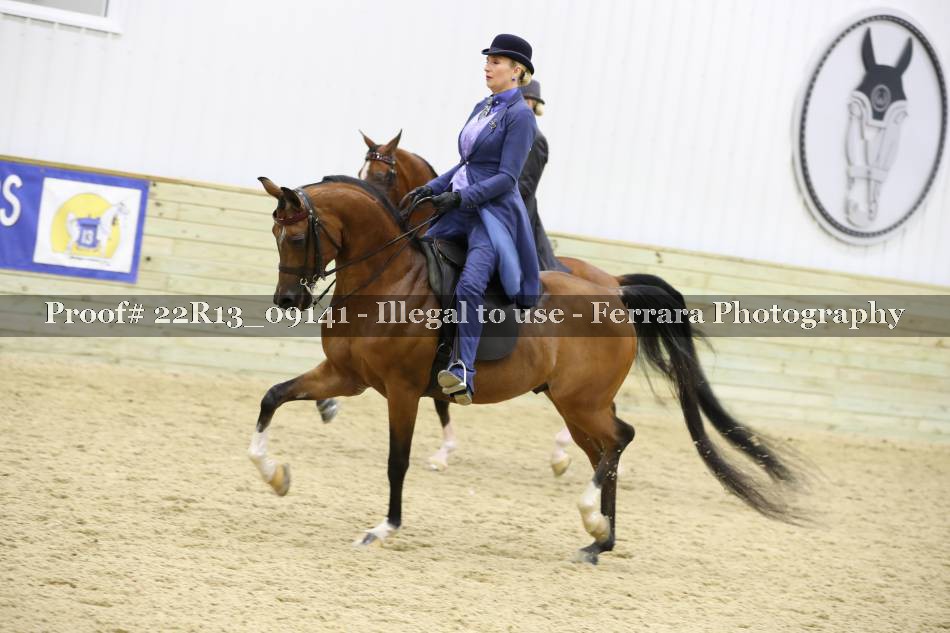 Proof 22R13_09141