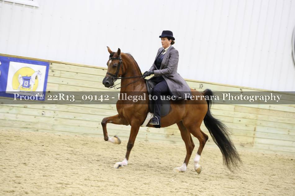 Proof 22R13_09142
