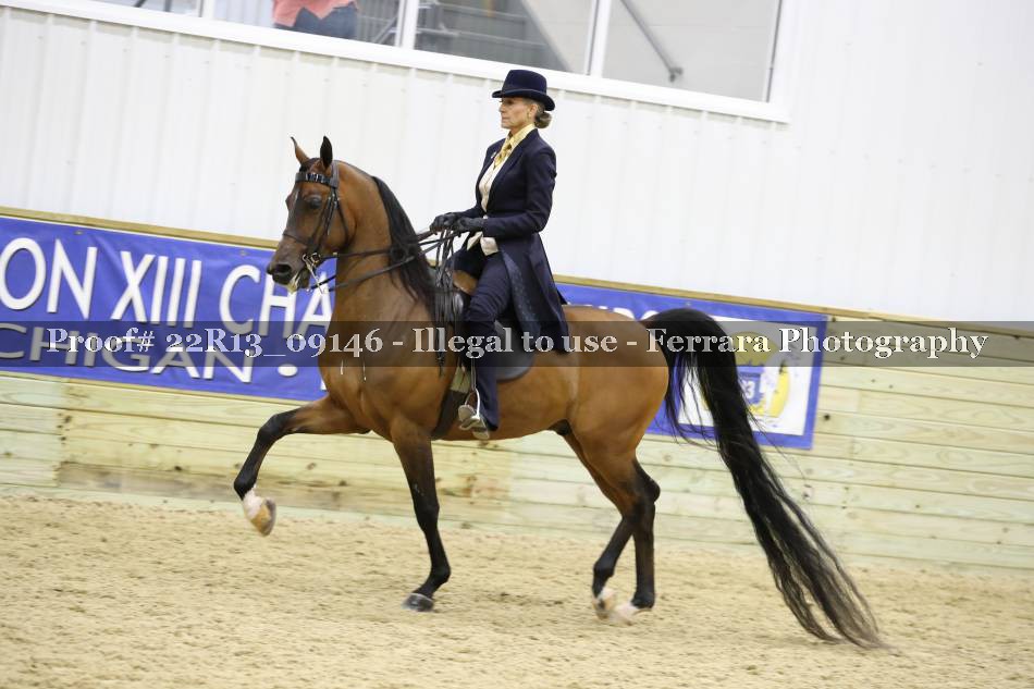 Proof 22R13_09146