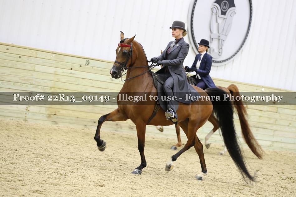 Proof 22R13_09149