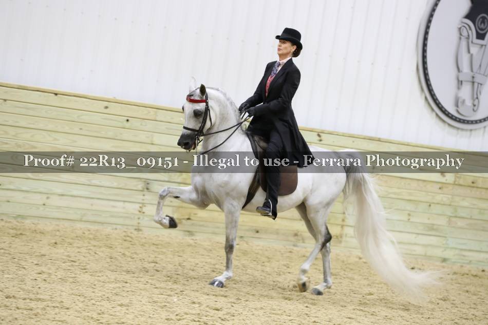 Proof 22R13_09151