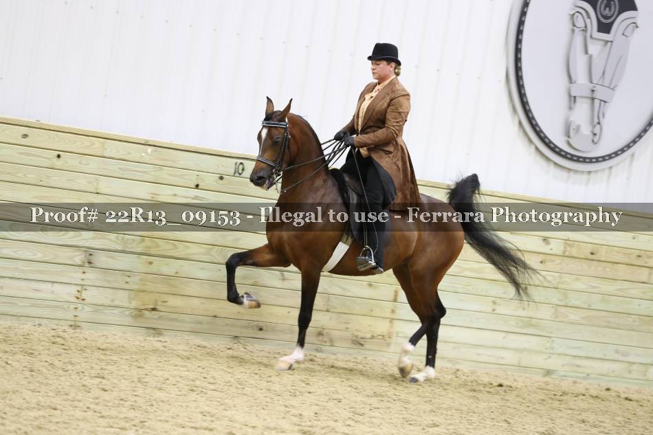 Proof 22R13_09153
