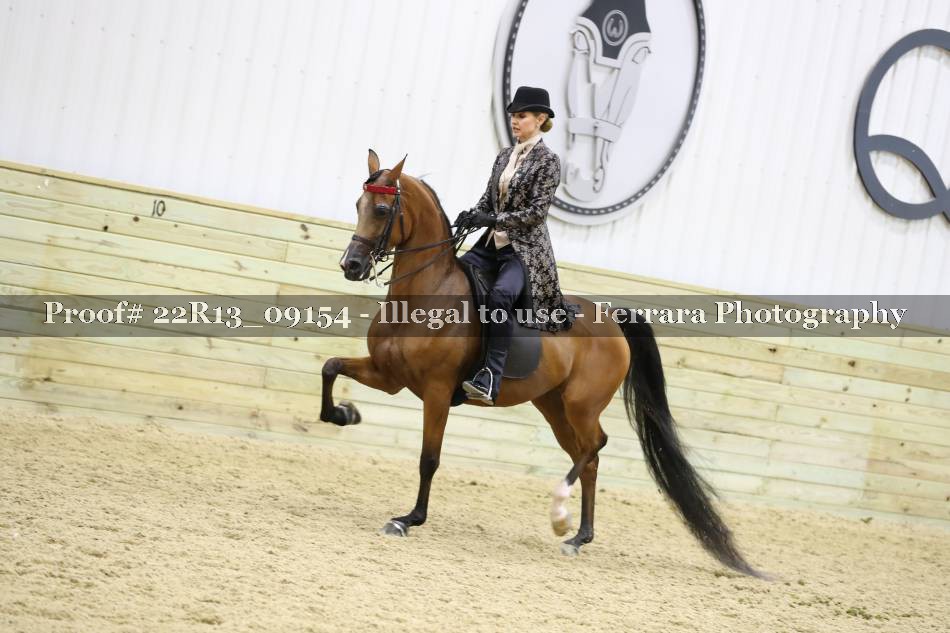 Proof 22R13_09154