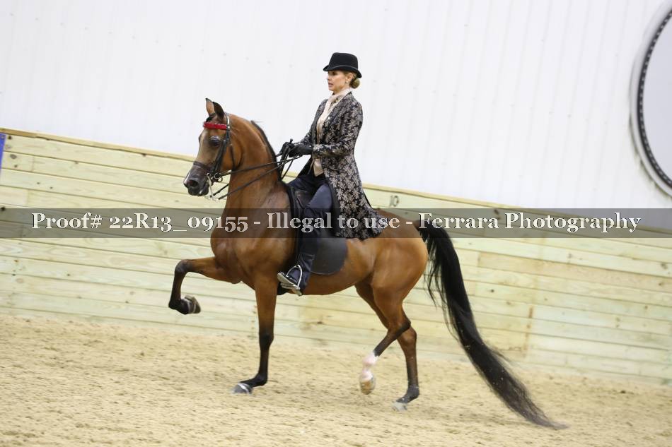 Proof 22R13_09155