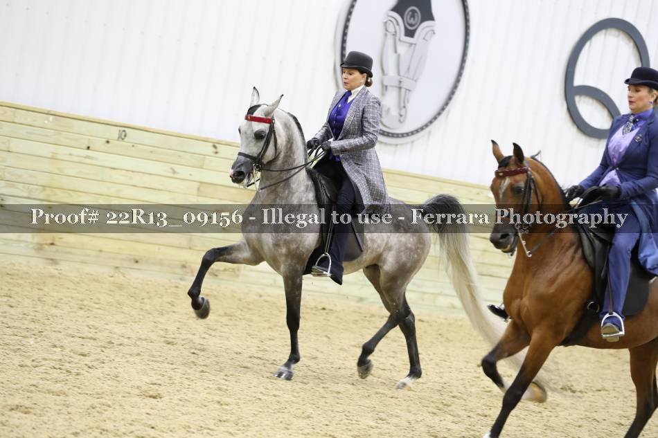 Proof 22R13_09156