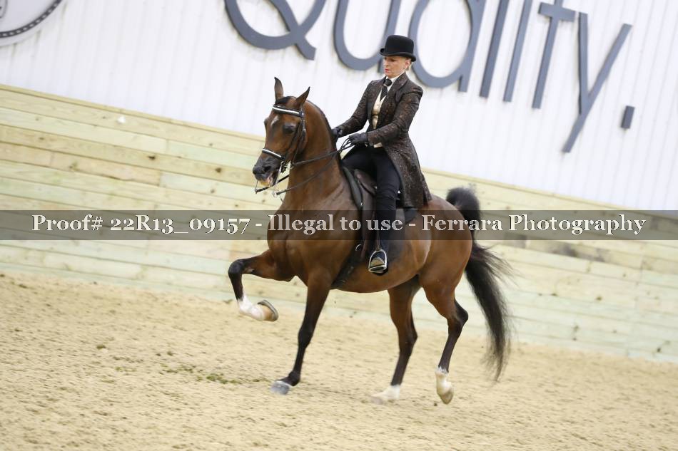 Proof 22R13_09157