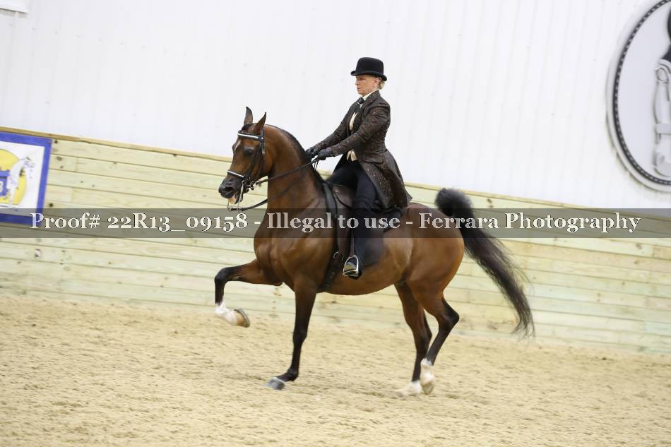 Proof 22R13_09158