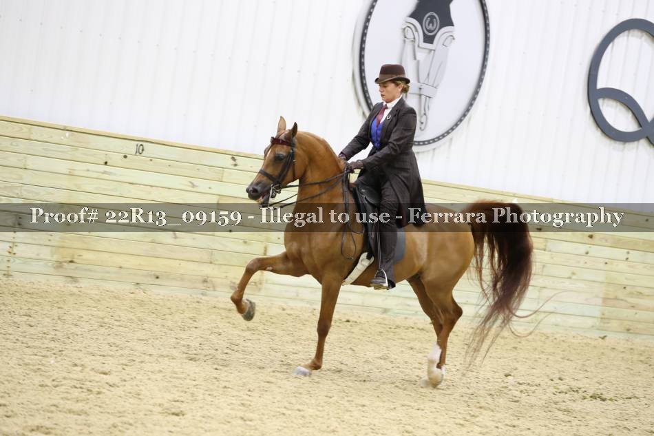 Proof 22R13_09159