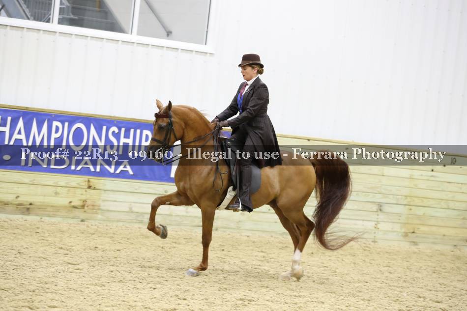 Proof 22R13_09160