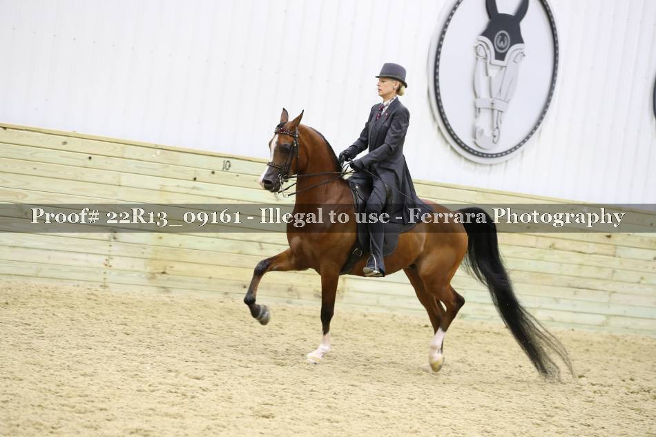 Proof 22R13_09161