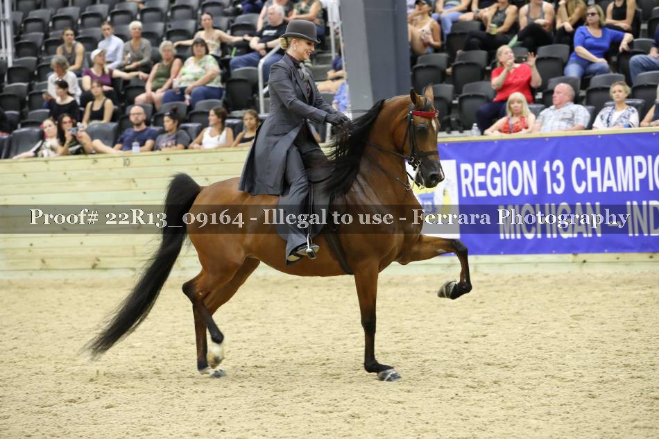 Proof 22R13_09164