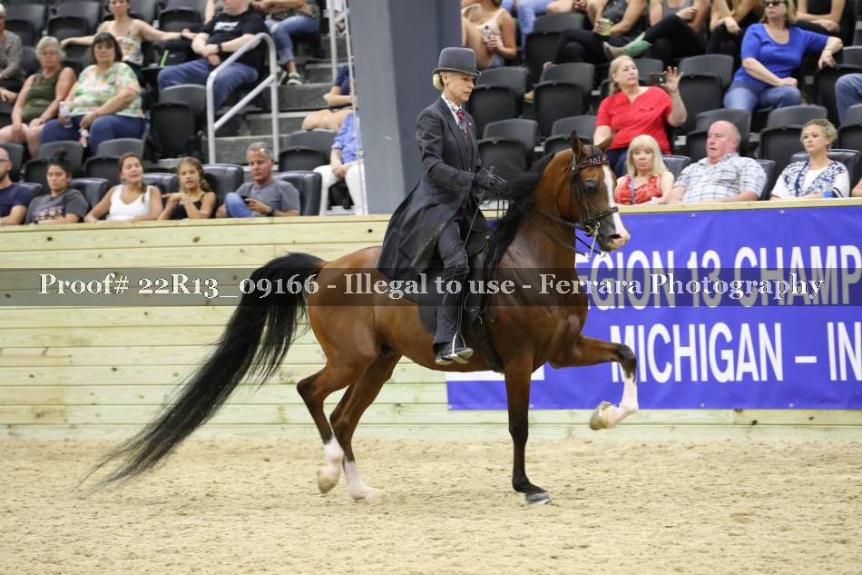 Proof 22R13_09166