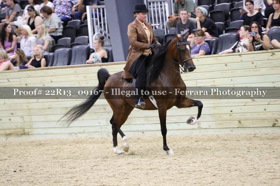 Proof 22R13_09167