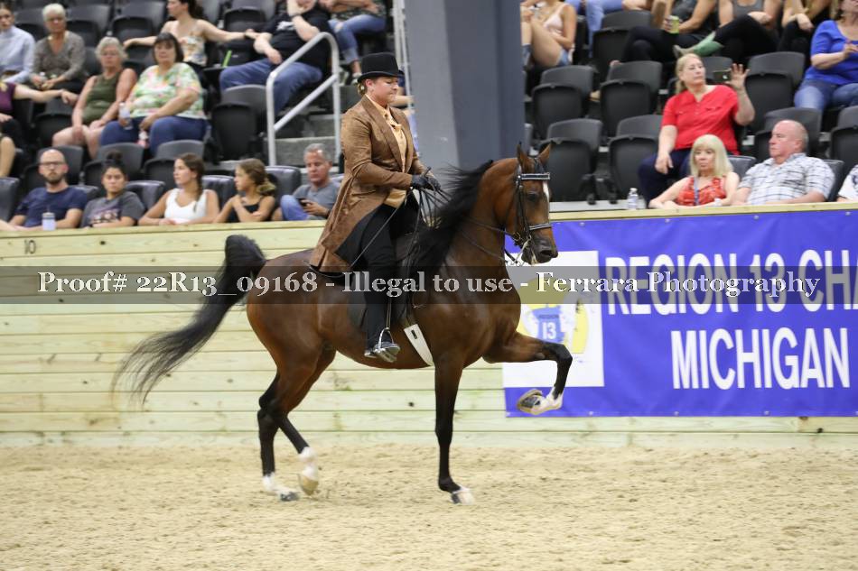 Proof 22R13_09168