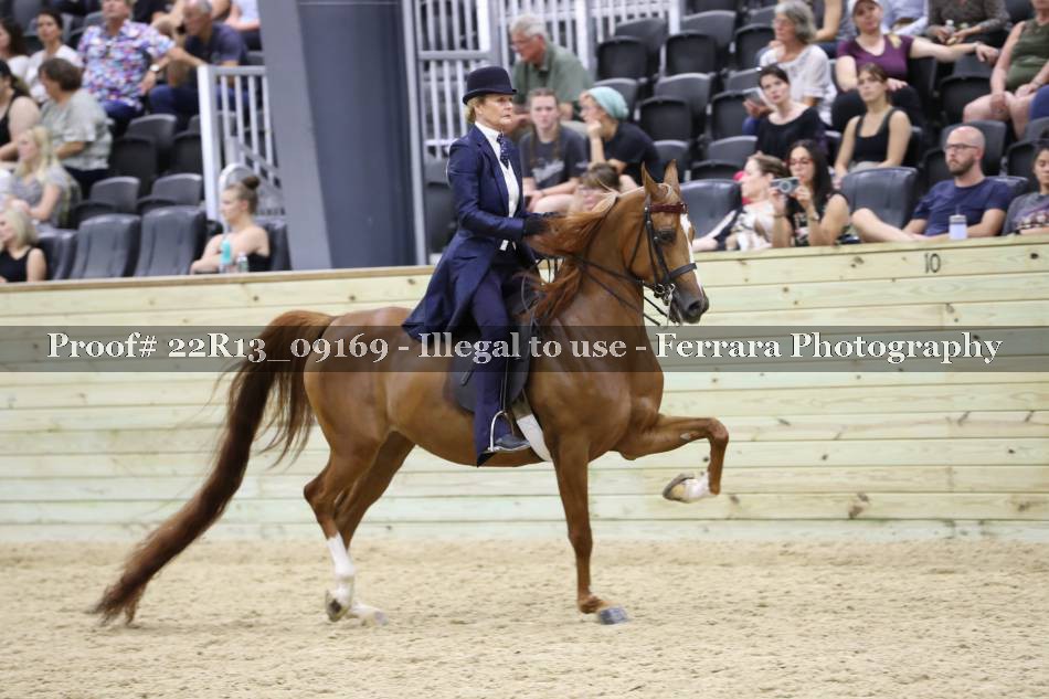 Proof 22R13_09169