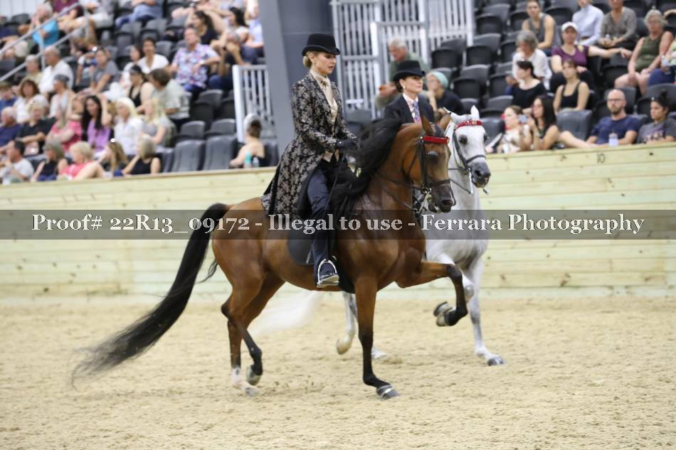 Proof 22R13_09172