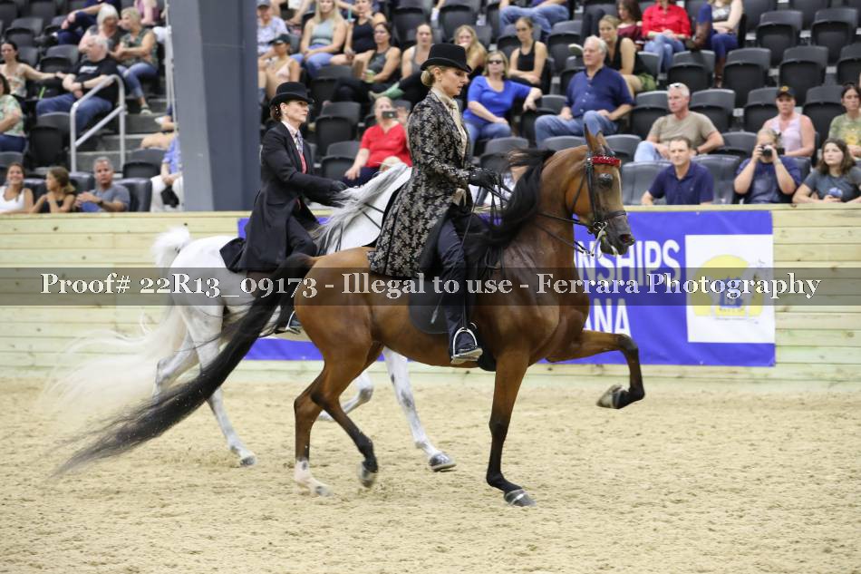 Proof 22R13_09173