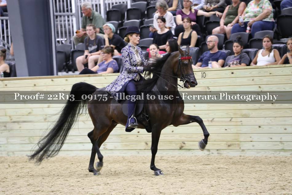 Proof 22R13_09175