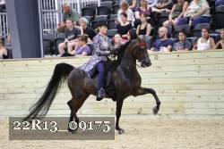 22R13_09175 proof