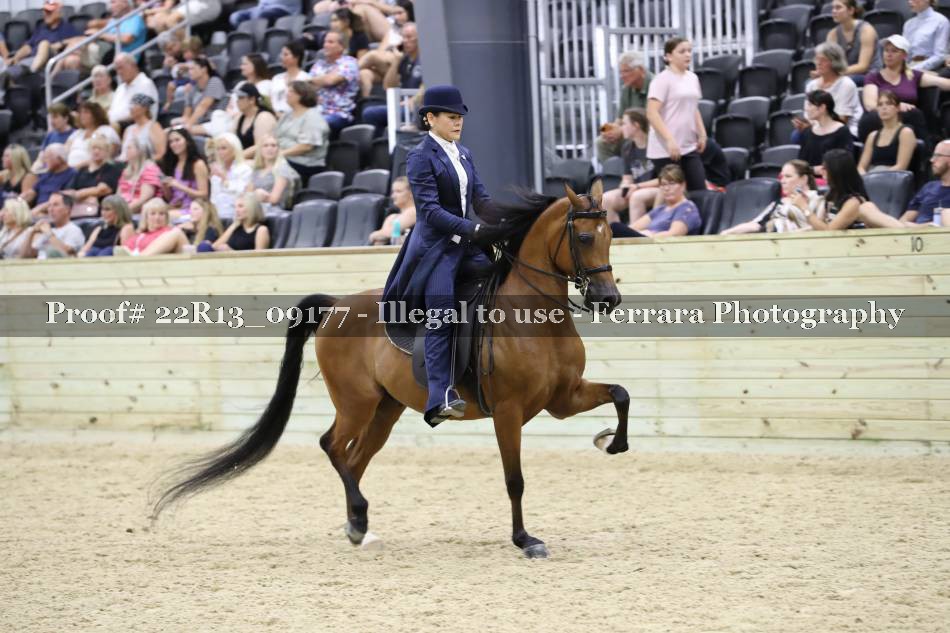 Proof 22R13_09177