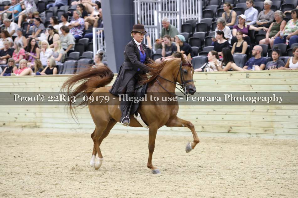 Proof 22R13_09179