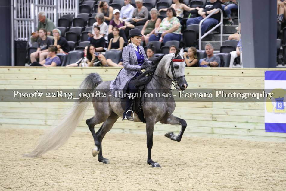 Proof 22R13_09182