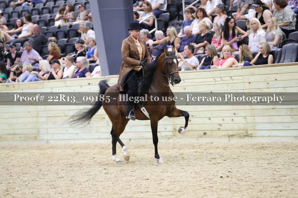 Proof 22R13_09185
