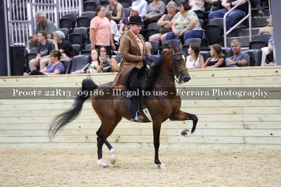 Proof 22R13_09186