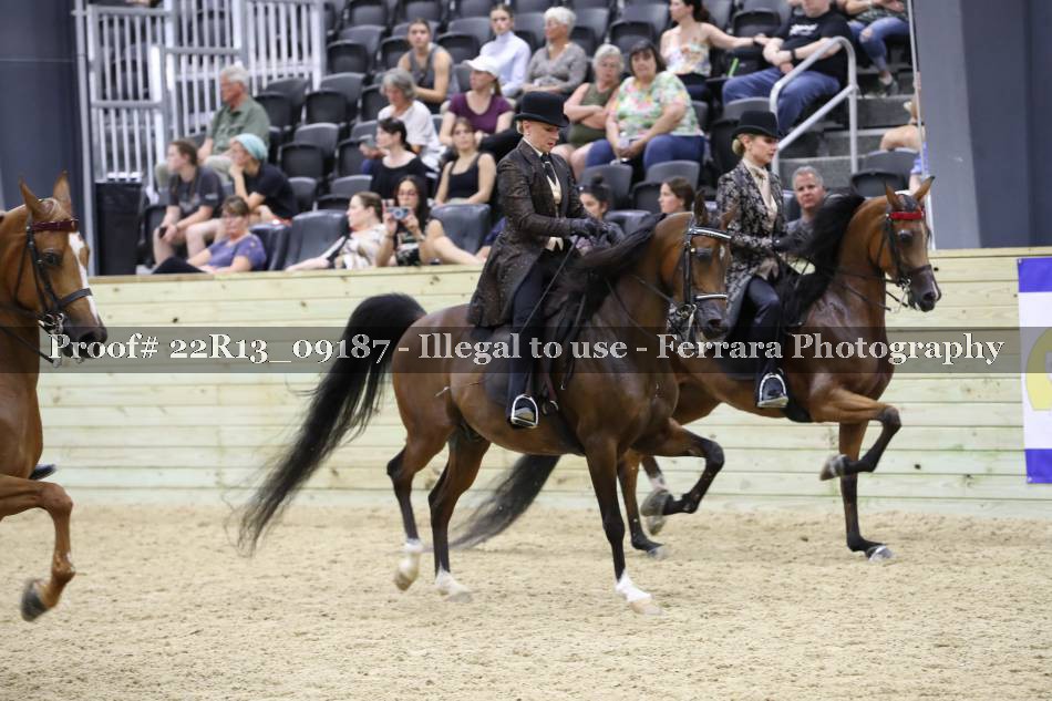 Proof 22R13_09187