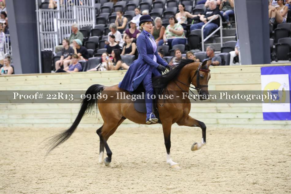 Proof 22R13_09189