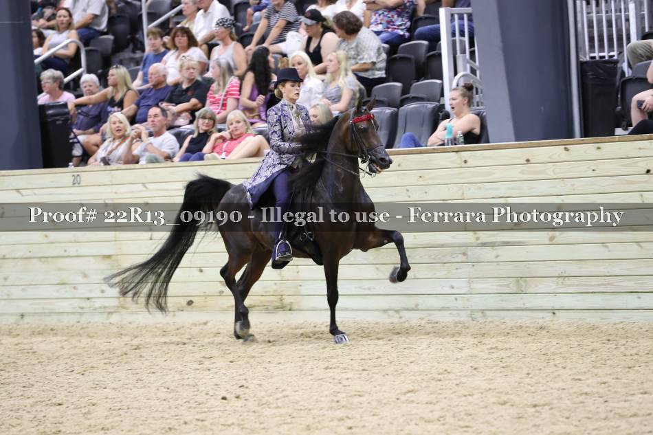 Proof 22R13_09190