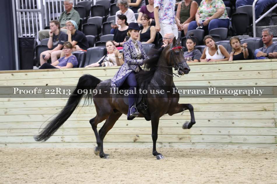 Proof 22R13_09191