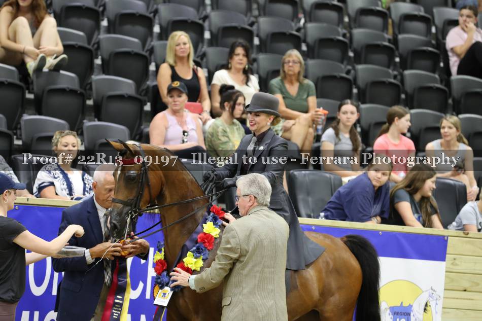 Proof 22R13_09197