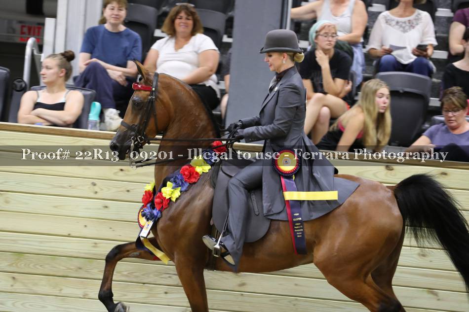 Proof 22R13_09201
