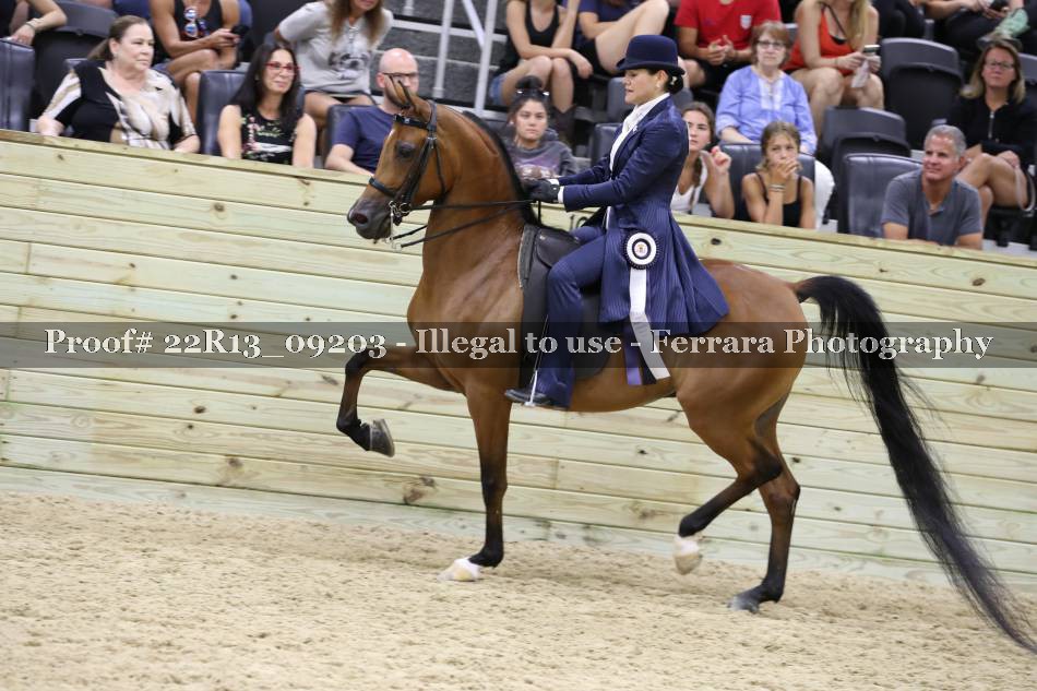 Proof 22R13_09203