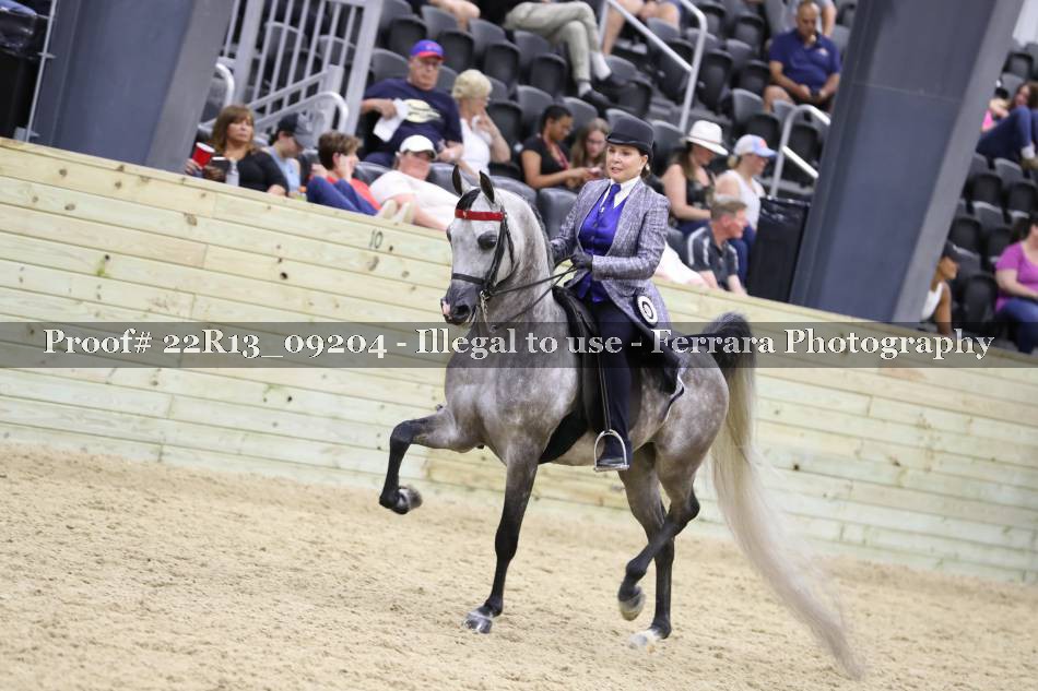 Proof 22R13_09204