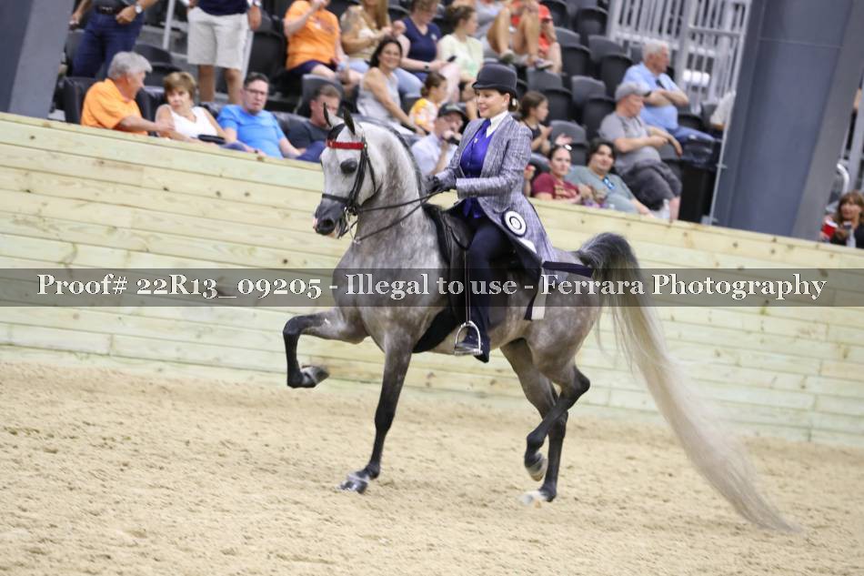Proof 22R13_09205