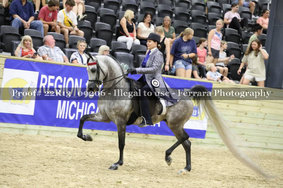 Proof 22R13_09206