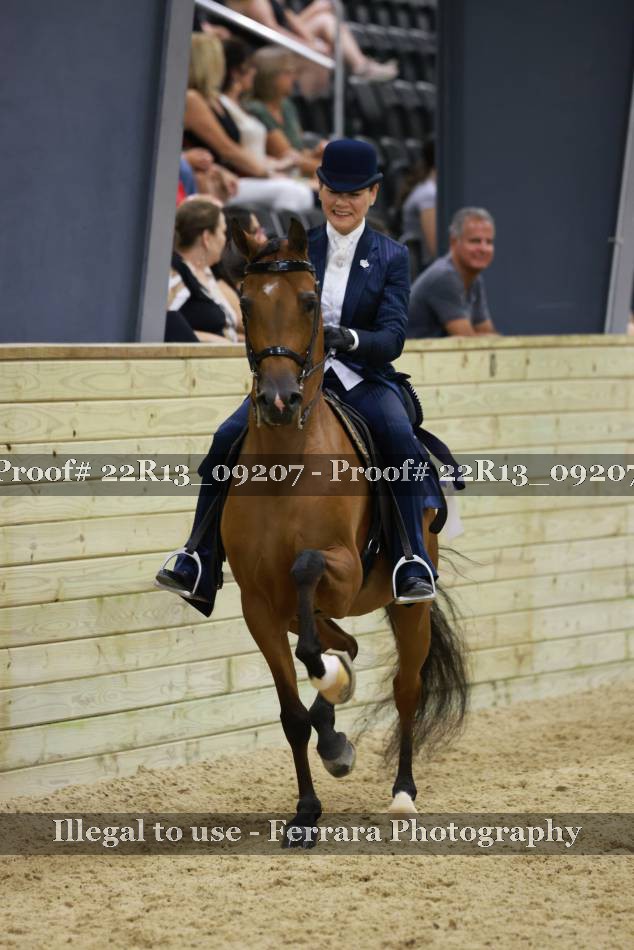 Proof 22R13_09207
