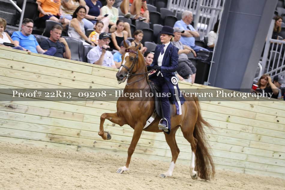 Proof 22R13_09208