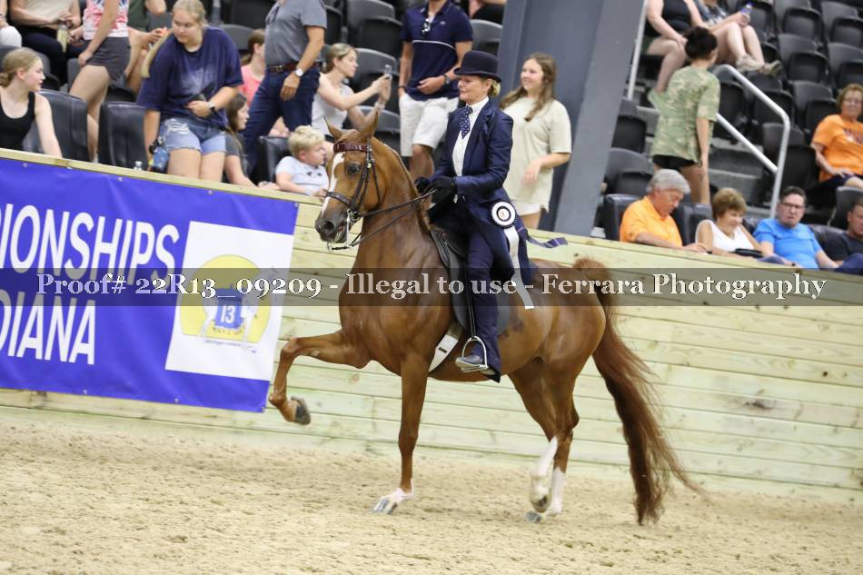 Proof 22R13_09209
