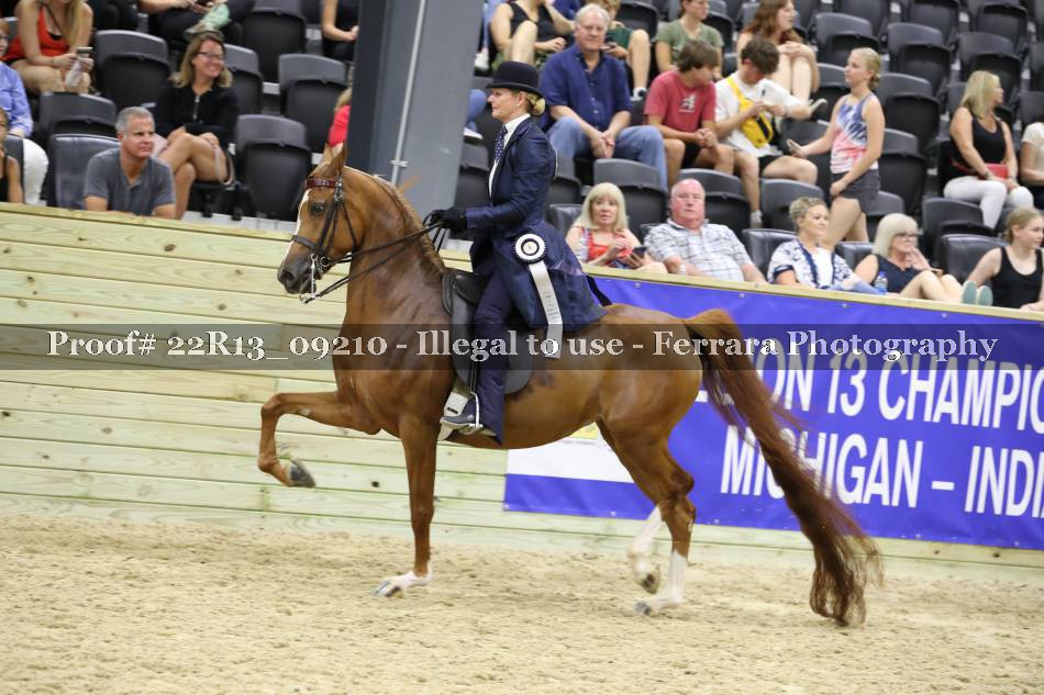 Proof 22R13_09210