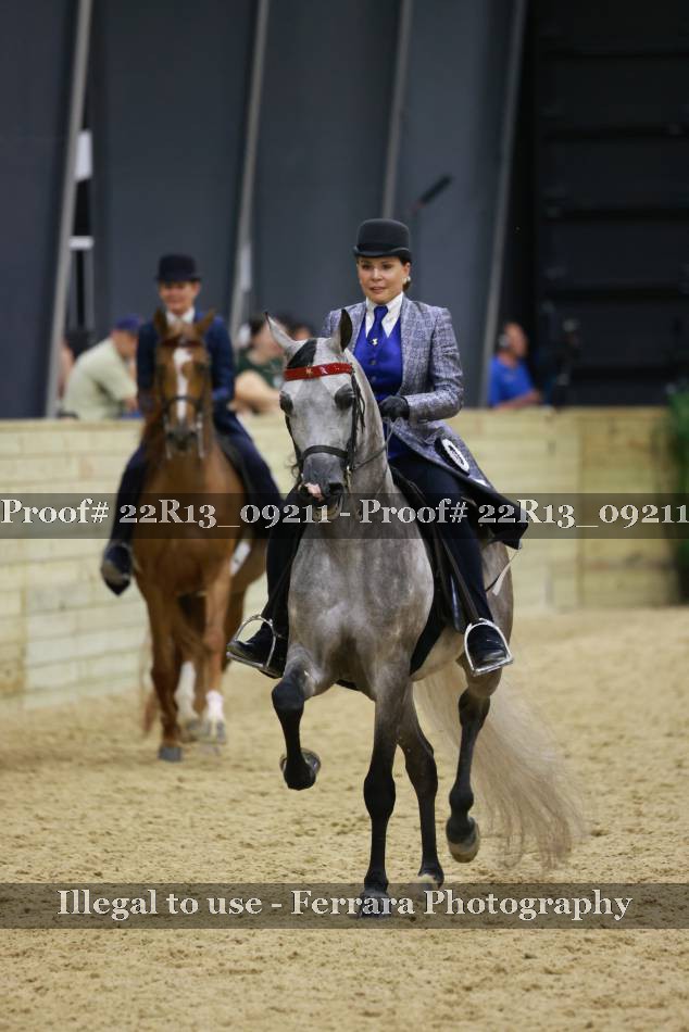 Proof 22R13_09211