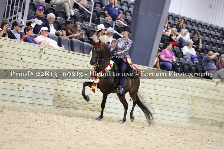 Proof 22R13_09213
