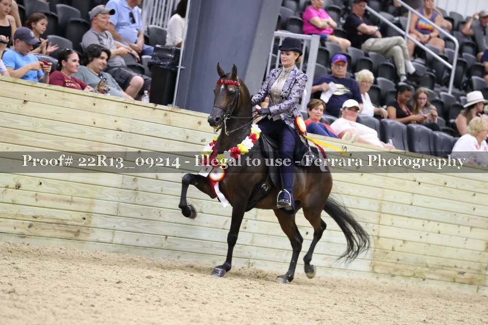 Proof 22R13_09214