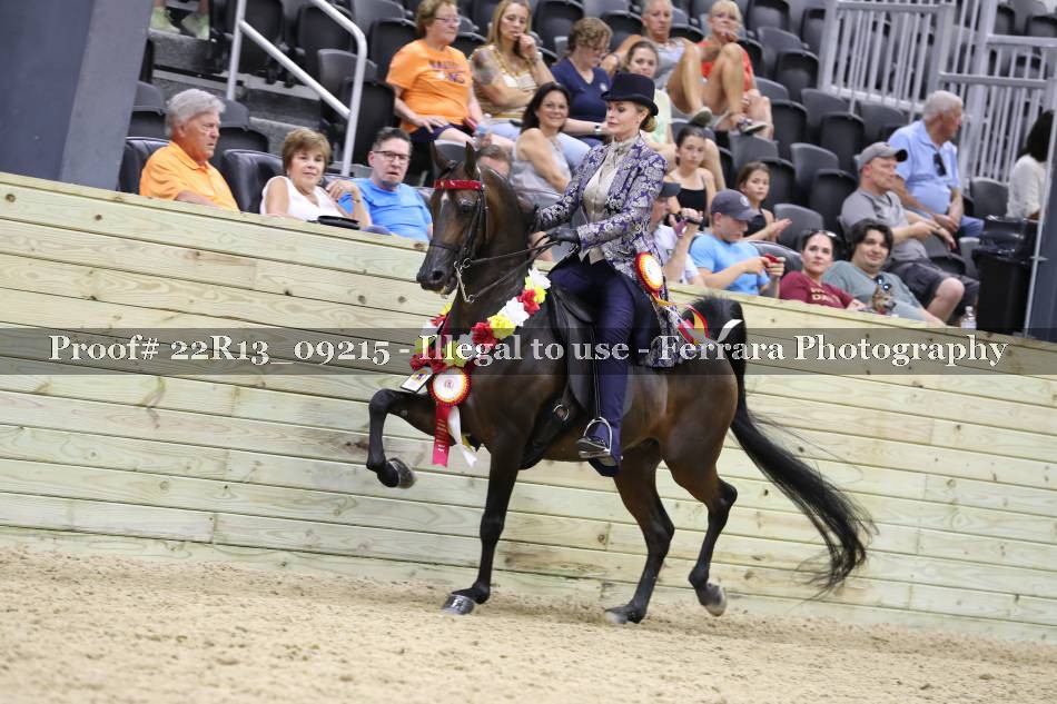 Proof 22R13_09215